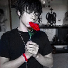 Roses avatars