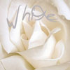 Roses avatars