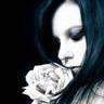 Roses avatars