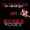 Roses avatars