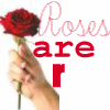 Roses avatars