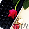 Roses avatars