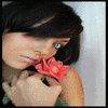 Roses avatars