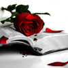 Roses avatars