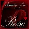 Roses avatars