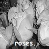 Roses avatars