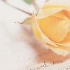 Roses avatars