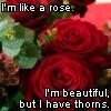 Roses avatars