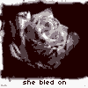 Roses avatars