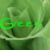 Roses avatars