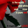 Roses avatars