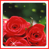 Roses avatars