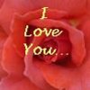 Roses avatars