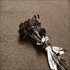 Roses avatars