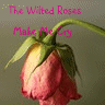 Roses avatars