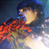 Roses avatars