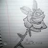 Roses avatars
