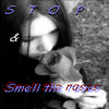 Roses avatars