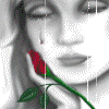 Roses avatars