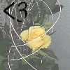 Roses avatars