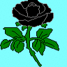 Roses avatars