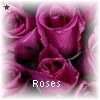 Roses avatars