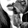 Roses avatars