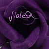 Roses avatars