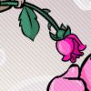 Roses avatars