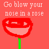 Roses avatars
