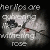 Roses avatars