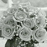 Roses avatars