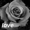 Roses avatars