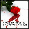 Roses avatars