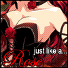 Roses avatars