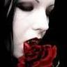 Roses avatars