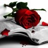 Roses avatars