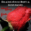 Roses avatars