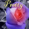 Roses avatars