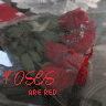 Roses avatars