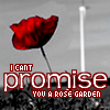 Roses avatars