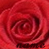 Roses avatars