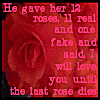 Roses avatars