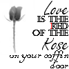Roses avatars