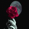 Roses avatars