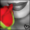 Roses avatars