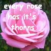 Roses avatars