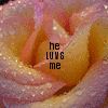 Roses avatars