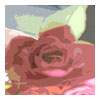 Roses avatars