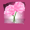 Roses avatars